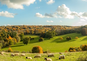 Changes to the geographical scope of inheritance tax agricultural property relief Image